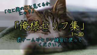 俺様系のセリフ集①｜罰ゲーム,セリフの練習,セリフ配信,ボイスサンプル,投稿などに使える台詞台本まとめ！｜セリフ35個